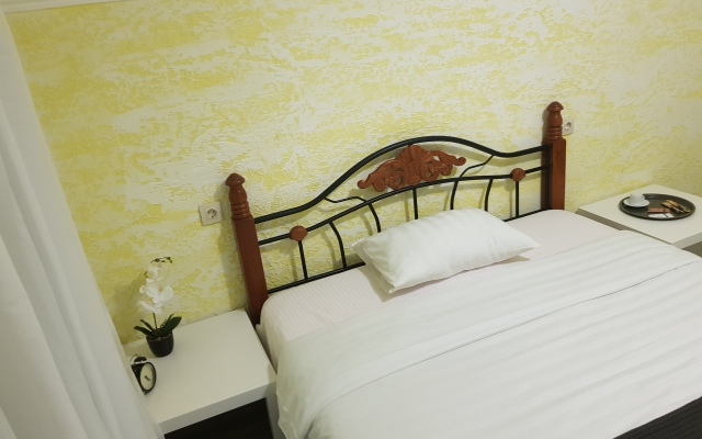 Viat VKO Guest house