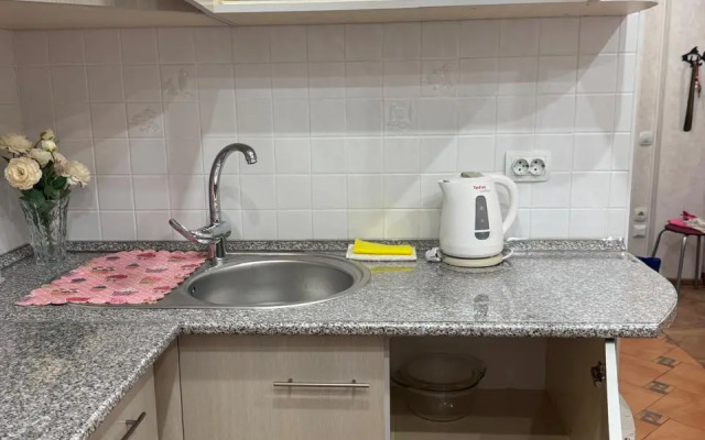 Baykalskaya Chayka Flat