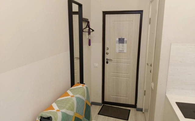 Uyutnaya Studiya V Serdtse Sankt-Peterburga Flat
