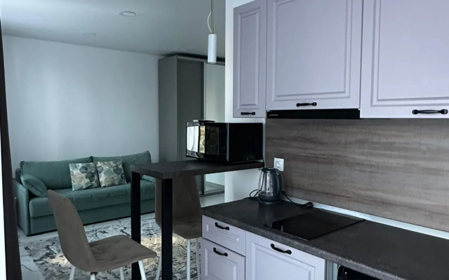 Апартаменты-студия 30 кв.м. с двуспальным диваном и панорамными окнами, 2 этаж