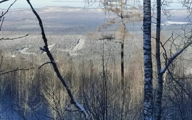 Гостевой дом Лавина