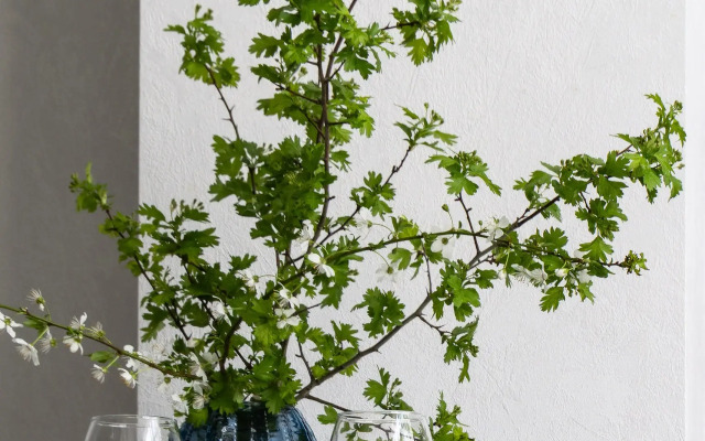 Квартира Уютная студия в ЖК Черноморский 2