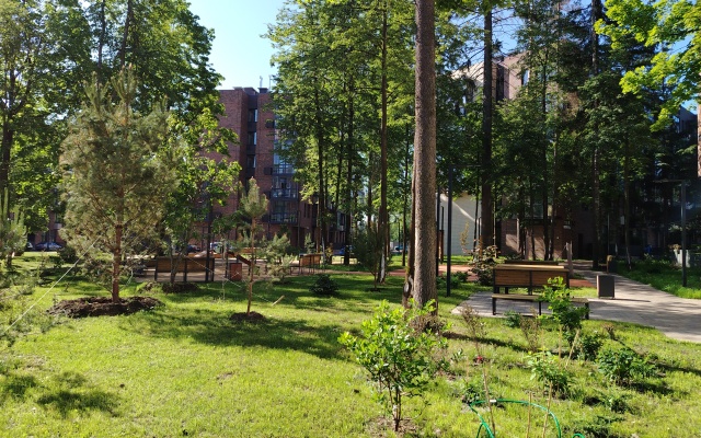Studiya V Lesnoy Otrade Apartments