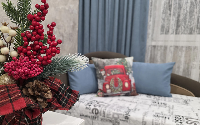 Кlassa Lyuks s Prekrasnym Vidom na Gory Flat