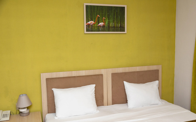 Hotel Flamingo Baku