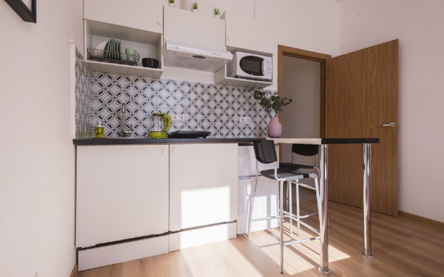 Studia Zheltaya v Poselke Pesochnom Flat