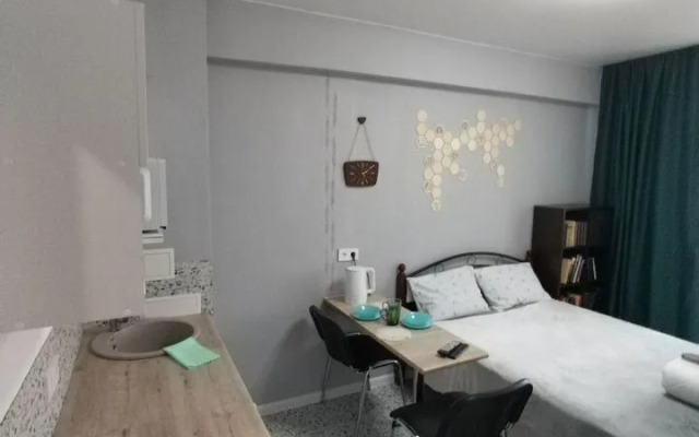 Studiya Na Mikrorayone Beryozovy 148 Flat