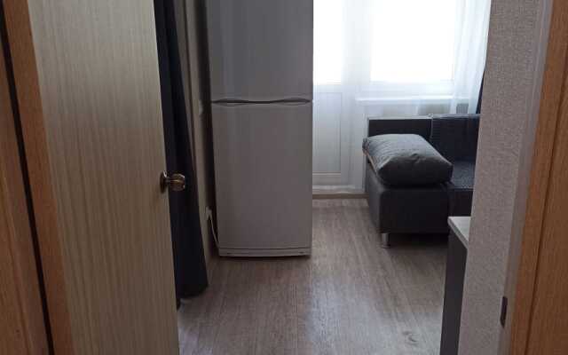 Novaya smart-studiya (462) Flat