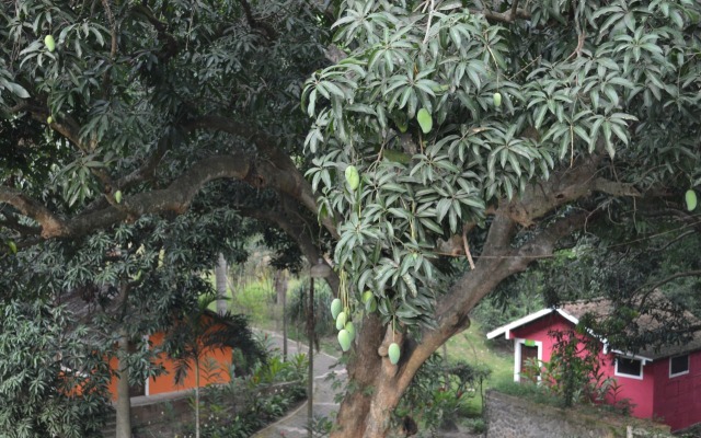 Campamento Río Salvaje Rotamundos Hotel
