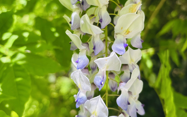 Апартаменты Пальма 3