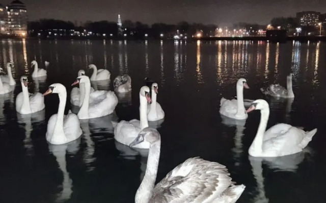 Квартира Abramov в центре у Верхнего Озера