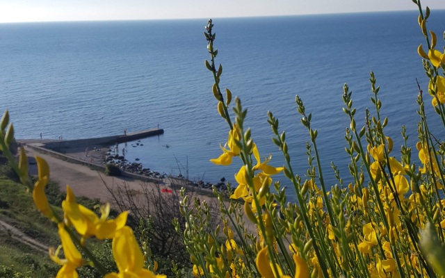 Гостевой Дом Роза Ветров