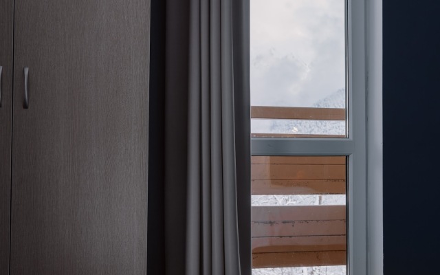 AYS Let It Snow Hotel Roza Khutor