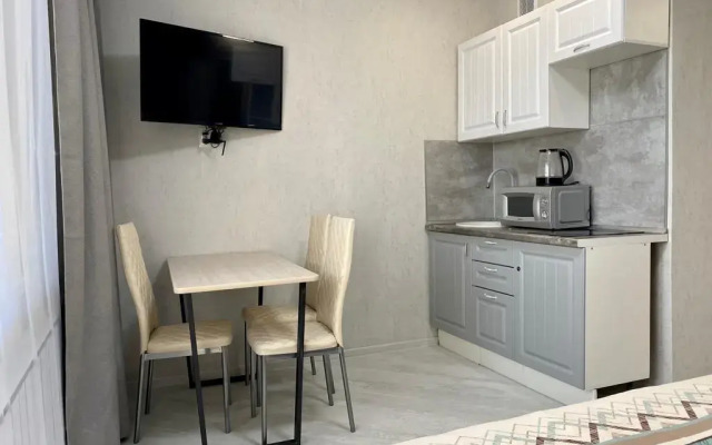 Studio na ulice Raketnaya 17 Apartments (2)