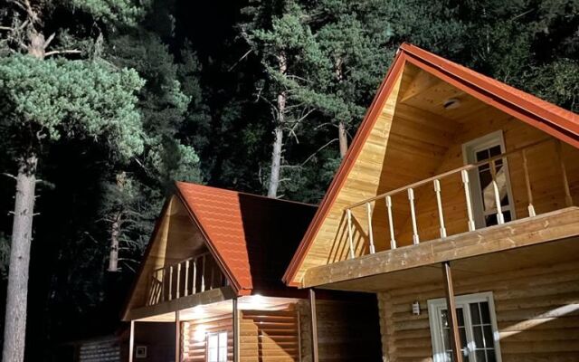 Arhyzh Forest Eco Recreation camp