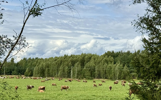Жилое помещение Гостевые дома на берегу Волги