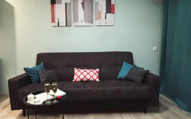 Biryuzovaya komnata v tsentre goroda furnished room