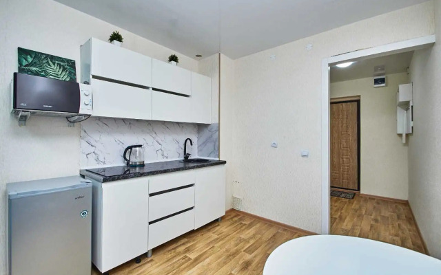 Dvukhmestnaya Studiya V Oktyabryskom Rayone Flat