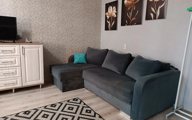 Апартаменты на Ленинском Проспекте