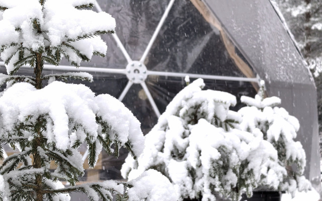 Шале неДача