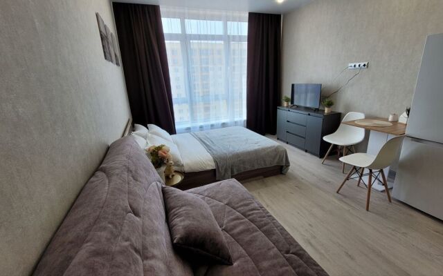 Апартаменты СИБИРЬ HOUSE панорамные окна центр