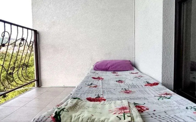 V Tsentralnom Sochi s Bolshoy Lodzhiey Flat