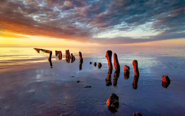 Апартаменты Big fish