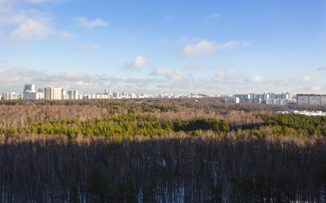 Квартира Уютная 3-шка у аэропорта Внуково