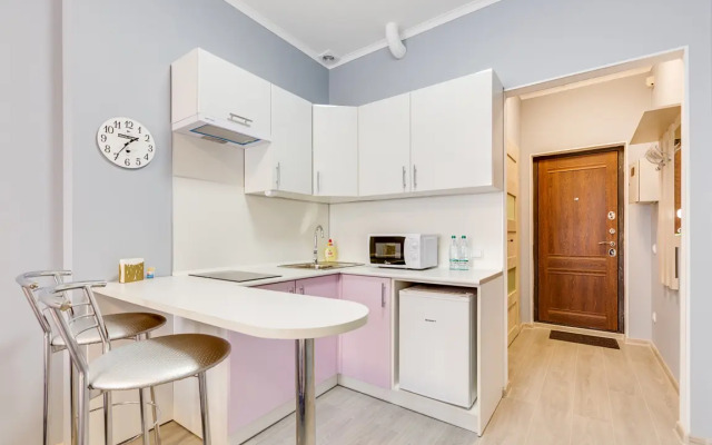 Nikolsky Apartments Improved Studio