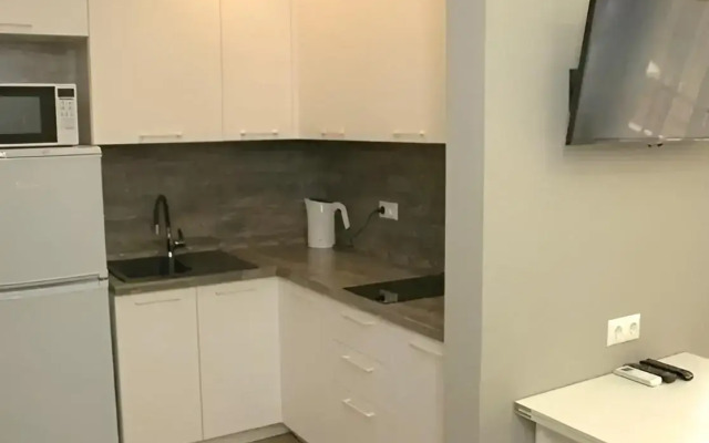 Studiya v Nizhneimeretinskoy Bukhte Flat