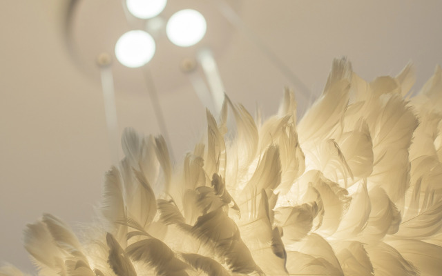 Квартира на Рубинштейна 14