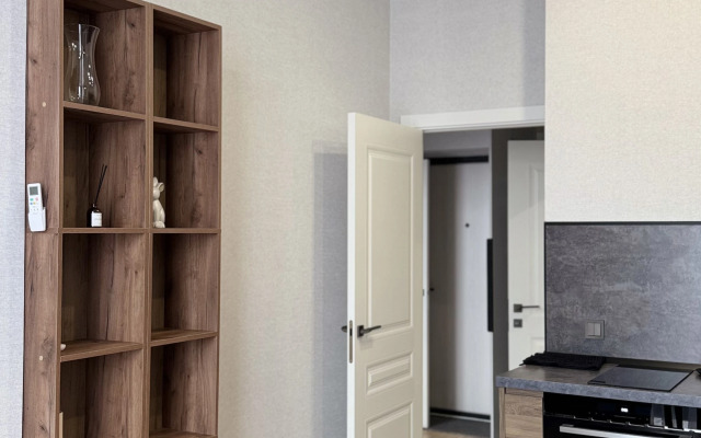 Апартаменты однокомнатные на Ивана Беличенко 90к1