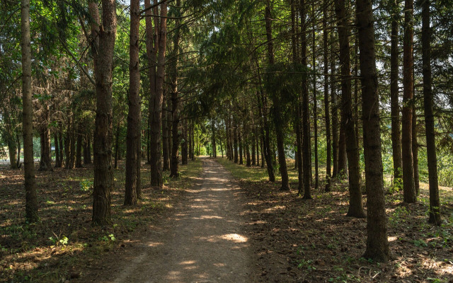 Частный дом в березах
