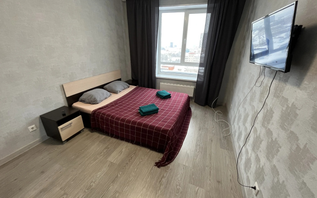 Квартира Толстого 3