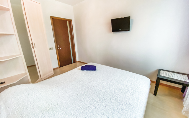 Uyutnaya Kvartira Vozle Sheremetyevo Apartments