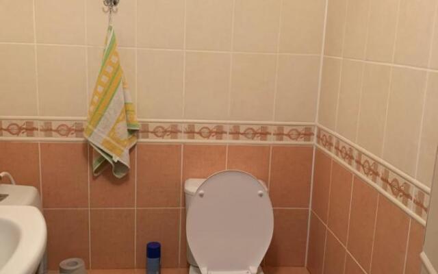 Частный дом на берегу речки Каменка