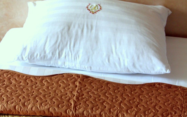 Diadema Sheremetevo Guest House