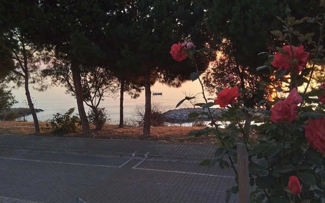 Частный дом Gerze Beyaz Yalı Tatil Evi