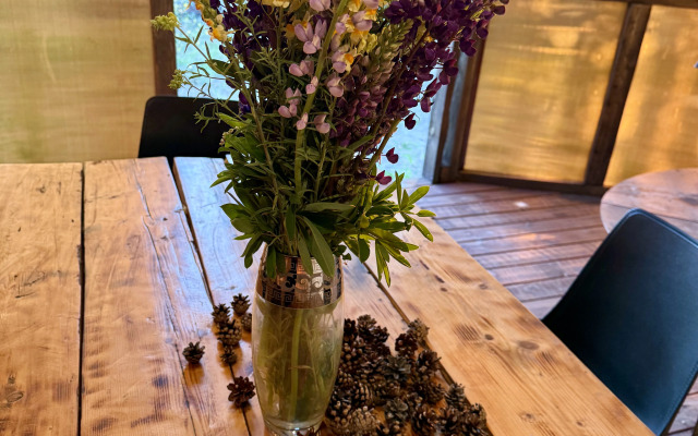 Частный дом Шишкин дом в 15 минутах от Северодвинска