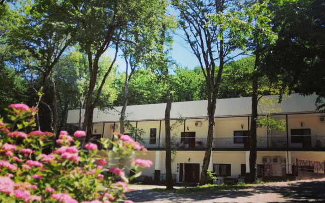 Primula Hotel
