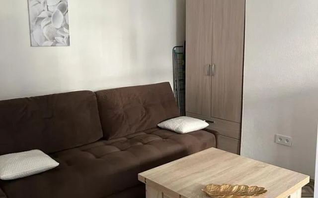 Квартира Белый Медведь на Дзержинского 8