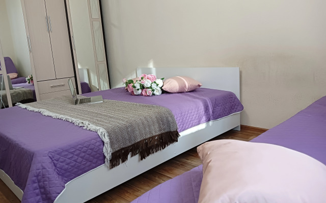 Апартаменты Park Inn Hause