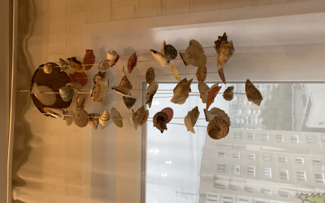 Квартира Кольский Север