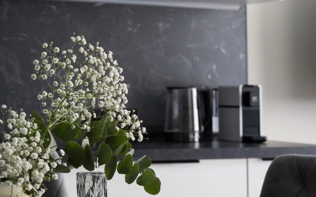 RentApartmentSpb Avenir Ladozhskiy Premium Apartments
