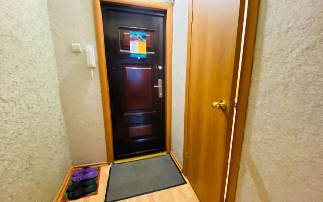 Апартаменты с 1 комнатой Делюкс (Квартира51)