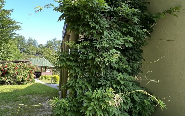 Гостевой дом Warnicken