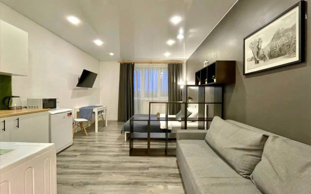 Апартаменты Студия Баринн на Гайдара 57к4