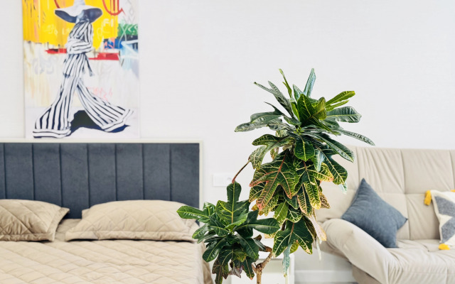 Solnechnaya U Parka Studio Flat
