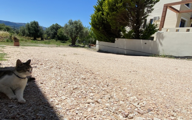Aetheria Roof Resort Apartments