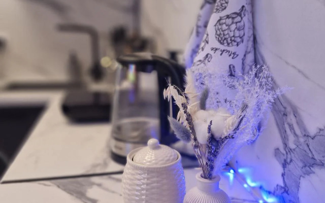 Квартира в историческом центре СПб